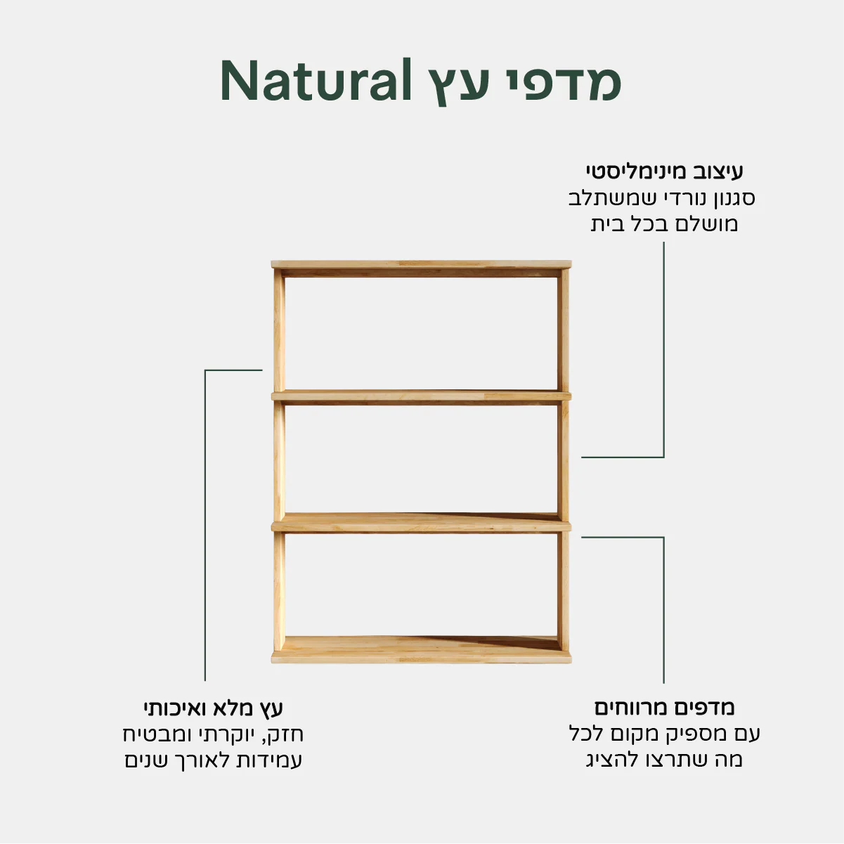 תמונת מוצר 10